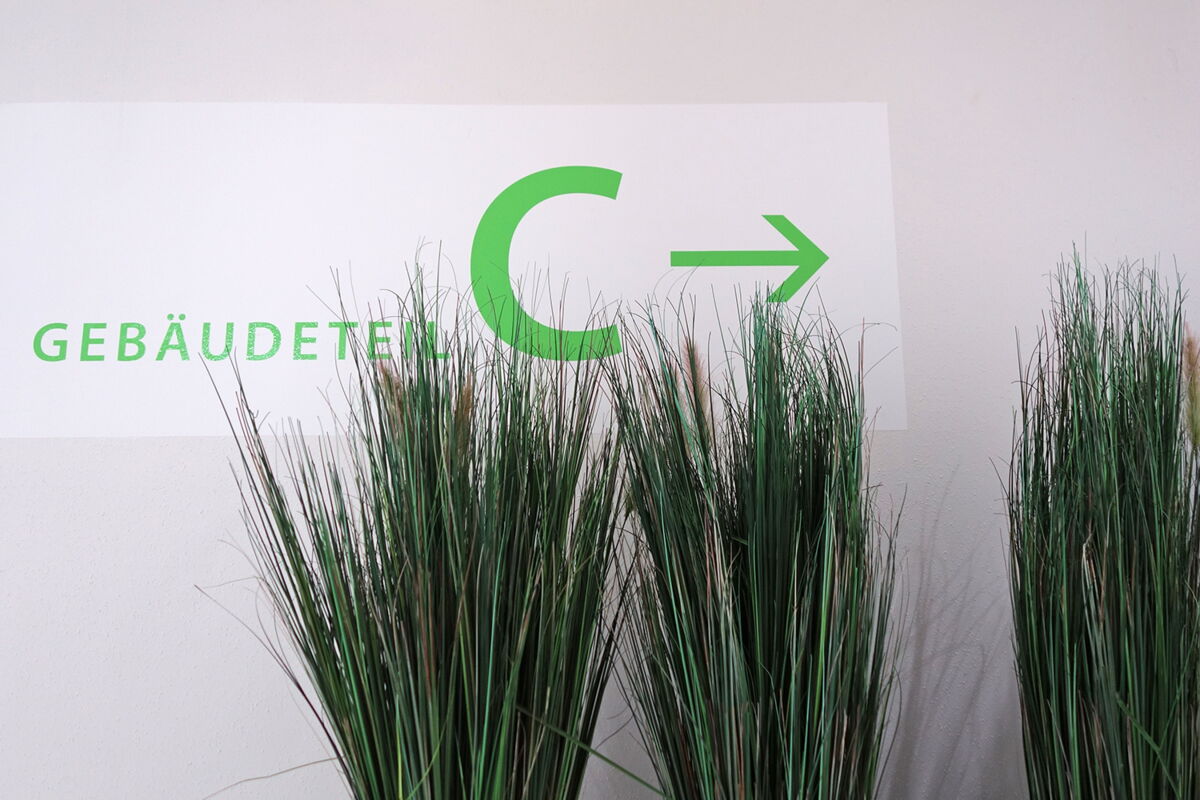Wand mit Hinweis auf Gebäude C, davor grasartige Pflanzen.