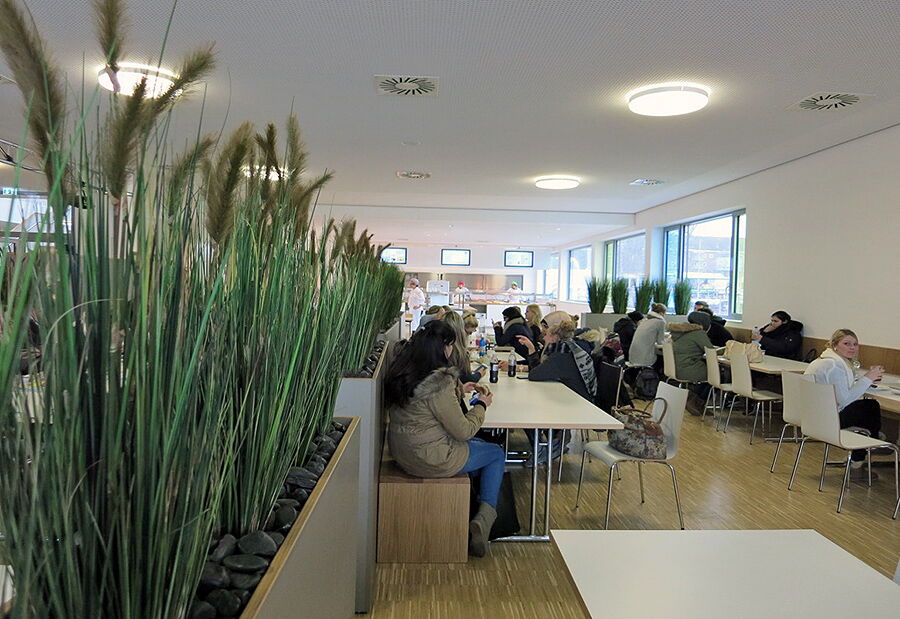 Schülerinnen und Schüler essen in der Mensa, zwischen vielen Pflanzen.