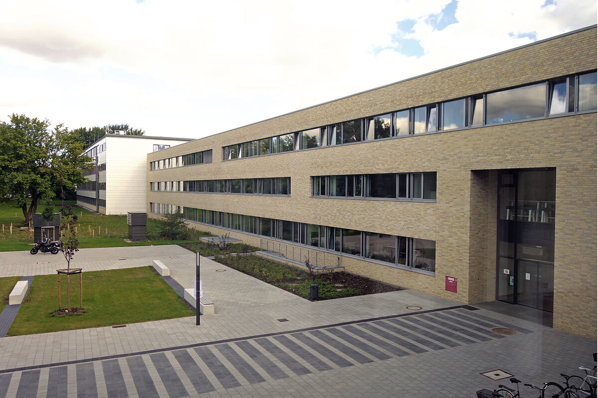 Zugang zum Eingang Westring mit Beeten, Rasenflächen, Pflasterung und abgestellten Fahrrädern.